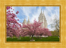 Load image into Gallery viewer, Salt Lake Spring Blossoms