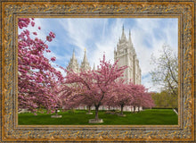 Load image into Gallery viewer, Salt Lake Spring Blossoms