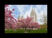 Load image into Gallery viewer, Salt Lake Spring Blossoms