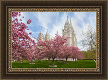 Load image into Gallery viewer, Salt Lake Spring Blossoms