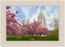 Load image into Gallery viewer, Salt Lake Spring Blossoms