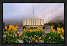 Load image into Gallery viewer, Provo Spring Tulips