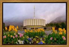 Load image into Gallery viewer, Provo Spring Tulips