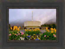 Load image into Gallery viewer, Provo Spring Tulips