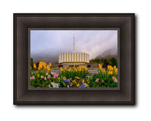 Load image into Gallery viewer, Provo Spring Tulips