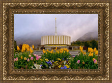 Load image into Gallery viewer, Provo Spring Tulips
