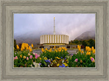 Load image into Gallery viewer, Provo Spring Tulips