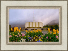 Load image into Gallery viewer, Provo Spring Tulips