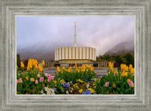 Load image into Gallery viewer, Provo Spring Tulips