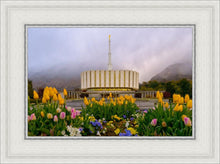 Load image into Gallery viewer, Provo Spring Tulips