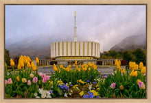 Load image into Gallery viewer, Provo Spring Tulips