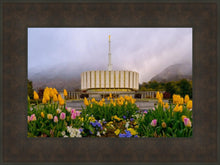 Load image into Gallery viewer, Provo Spring Tulips