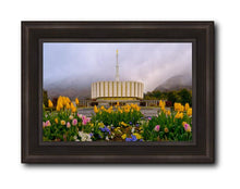 Load image into Gallery viewer, Provo Spring Tulips