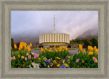 Load image into Gallery viewer, Provo Spring Tulips