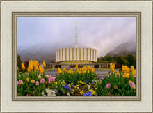 Load image into Gallery viewer, Provo Spring Tulips