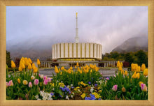 Load image into Gallery viewer, Provo Spring Tulips