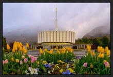 Load image into Gallery viewer, Provo Spring Tulips