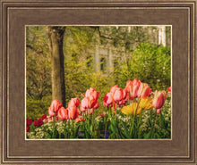 Load image into Gallery viewer, Salt Lake In The Garden