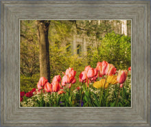 Load image into Gallery viewer, Salt Lake In The Garden