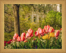 Load image into Gallery viewer, Salt Lake In The Garden