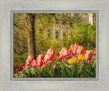 Load image into Gallery viewer, Salt Lake In The Garden