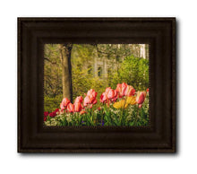 Load image into Gallery viewer, Salt Lake In The Garden