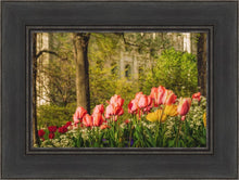 Load image into Gallery viewer, Salt Lake In The Garden