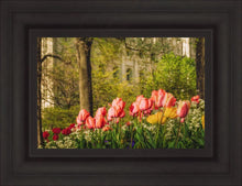 Load image into Gallery viewer, Salt Lake In The Garden