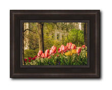 Load image into Gallery viewer, Salt Lake In The Garden