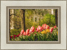 Load image into Gallery viewer, Salt Lake In The Garden