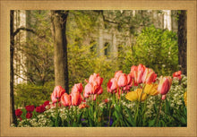 Load image into Gallery viewer, Salt Lake In The Garden