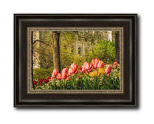 Load image into Gallery viewer, Salt Lake In The Garden