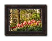 Load image into Gallery viewer, Salt Lake In The Garden
