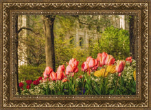 Load image into Gallery viewer, Salt Lake In The Garden