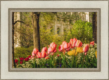 Load image into Gallery viewer, Salt Lake In The Garden
