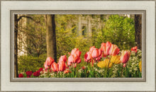 Load image into Gallery viewer, Salt Lake In The Garden
