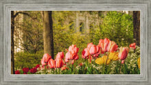 Load image into Gallery viewer, Salt Lake In The Garden