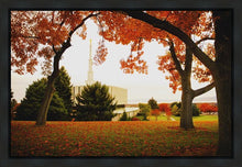 Load image into Gallery viewer, Provo Sanctuary