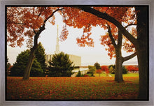 Load image into Gallery viewer, Provo Sanctuary