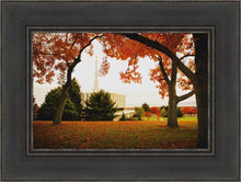Load image into Gallery viewer, Provo Sanctuary