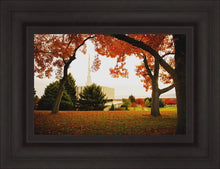 Load image into Gallery viewer, Provo Sanctuary