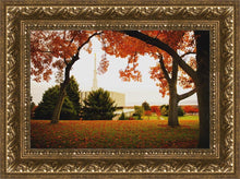 Load image into Gallery viewer, Provo Sanctuary