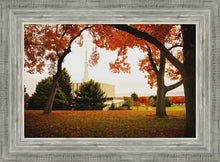 Load image into Gallery viewer, Provo Sanctuary