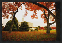 Load image into Gallery viewer, Provo Sanctuary