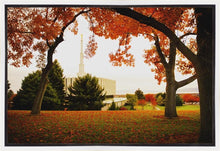 Load image into Gallery viewer, Provo Sanctuary