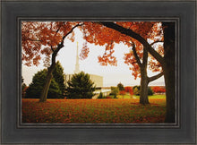 Load image into Gallery viewer, Provo Sanctuary