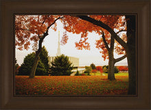 Load image into Gallery viewer, Provo Sanctuary