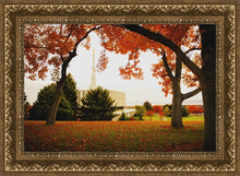 Load image into Gallery viewer, Provo Sanctuary