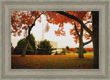 Load image into Gallery viewer, Provo Sanctuary