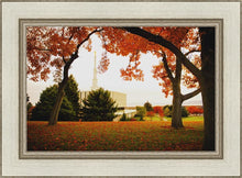 Load image into Gallery viewer, Provo Sanctuary